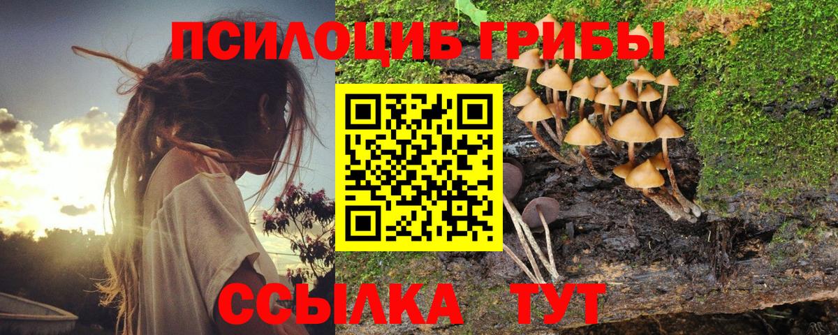 Уссурийск  Псилоцибиновые грибы мухоморы  Вход с VPN 