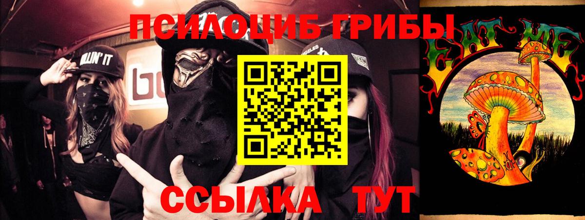 Псилоцибиновые грибы мицелий Уссурийск